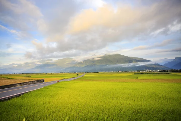 De schoonheid van de landbouwgrond in taitung taiwan — Stockfoto