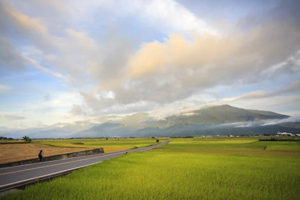 La belleza de las tierras de cultivo en Taitung Taiwán —  Fotos de Stock