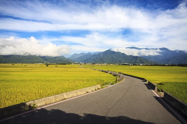 A beleza das terras agrícolas em Taitung Taiwan — Fotografia de Stock