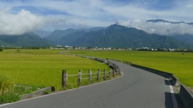 tarım arazileri taitung Tayvan adv veya başkaları için güzellik amaçlı kullanım