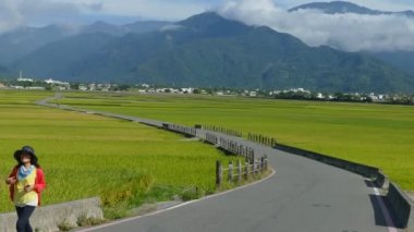 tarım arazileri taitung Tayvan adv veya başkaları için güzellik amaçlı kullanım