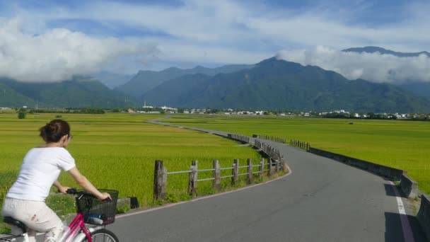 A beleza das terras agrícolas em Taitung Taiwan para uso adv ou outros fins — Vídeo de Stock