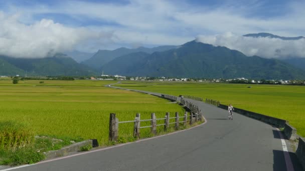 A beleza das terras agrícolas em Taitung Taiwan para uso adv ou outros fins — Vídeo de Stock