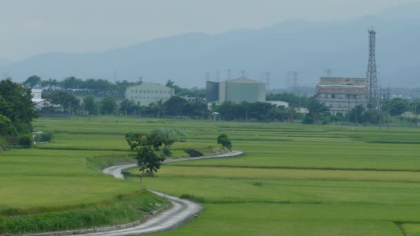 The beauty of the farmland in Taitung Taiwan for adv or others purpose use — Stock Video