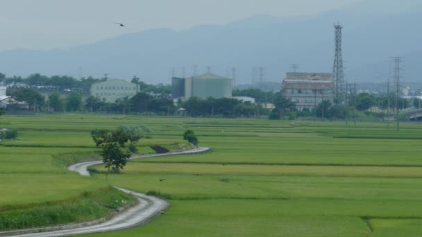 Die schönheit des landwirtschaftlichen landes in taitung taiwan für adv oder andere zwecke — Stockvideo