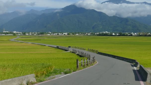 Краса сільськогосподарських угідь в Тайвані taitung adv або інші цілі використання — стокове відео