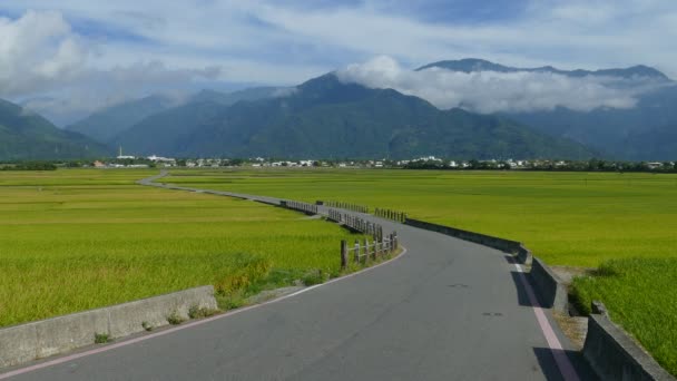 A beleza das terras agrícolas em Taitung Taiwan para uso adv ou outros fins — Vídeo de Stock