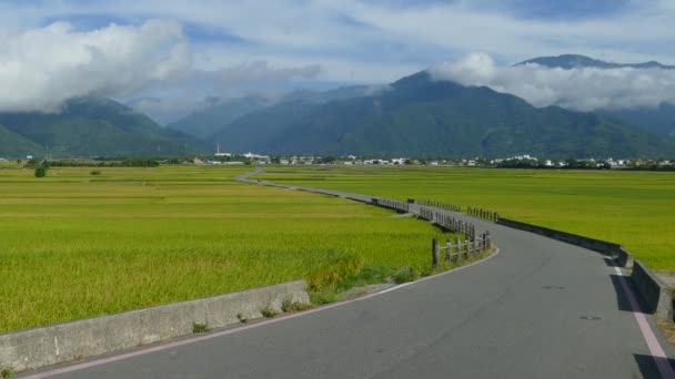 La belleza de las tierras de cultivo en Taitung Taiwán para uso adv u otros fines — Vídeo de stock