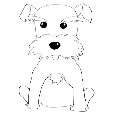 El Schnauzer boyalı