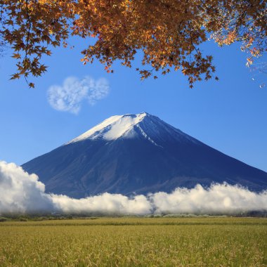 Изображение из священной горы Фудзи в фоновом режиме в Японии