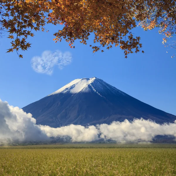 Image of sacred mountain of Fuji in the background at Japan — Stock Photo, Image