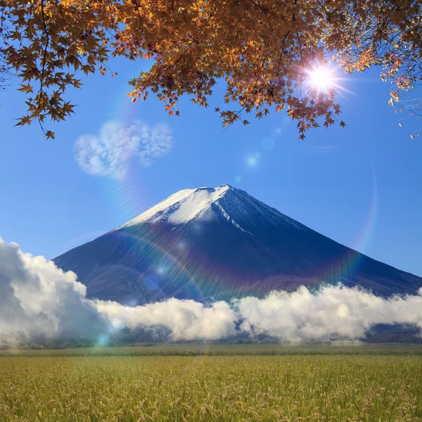 Imagen de la montaña sagrada de Fuji en el fondo en Japón —  Fotos de Stock