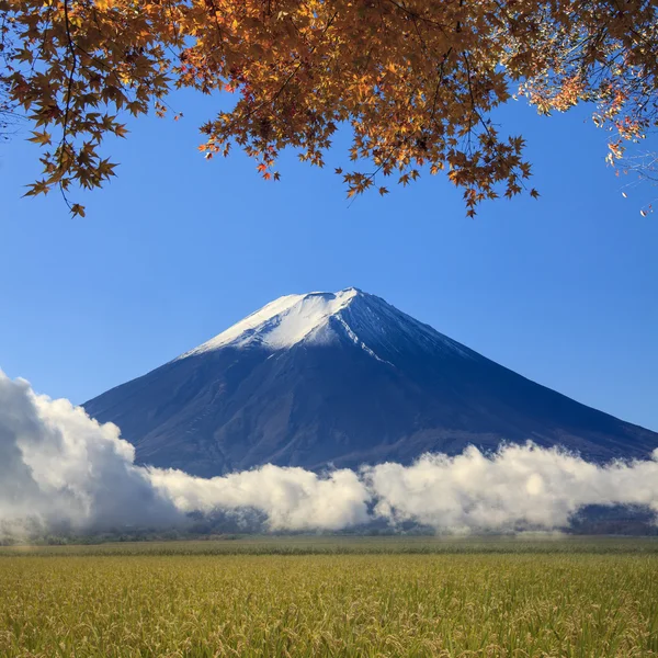 Image of sacred mountain of Fuji in the background at Japan — Stock Photo, Image