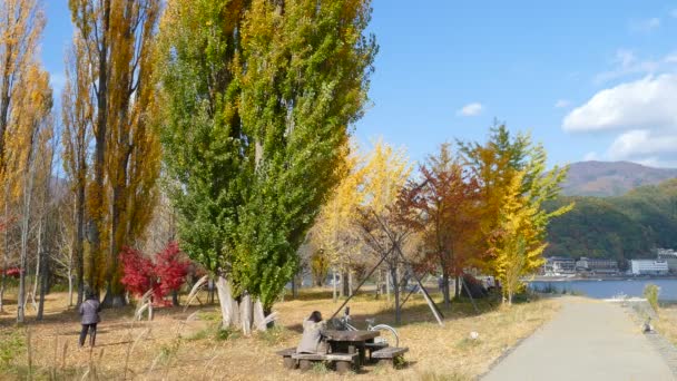 Mt. Fuji with fall colors in Japan — Stock Video