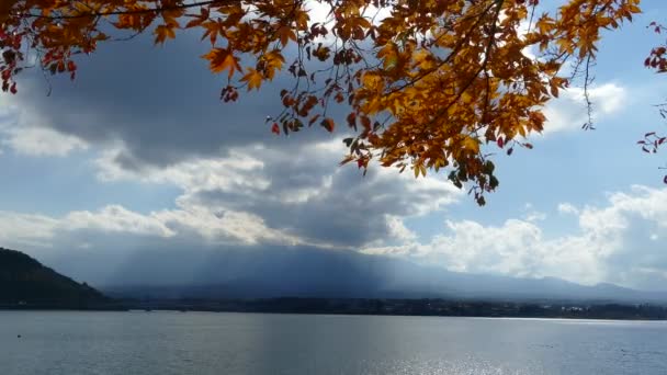 Mt. fuji z kolory jesieni w Japonii — Wideo stockowe