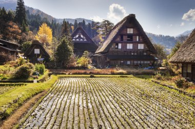Geleneksel ve tarihsel Japon Köyü Ogimachi - Shirakawa
