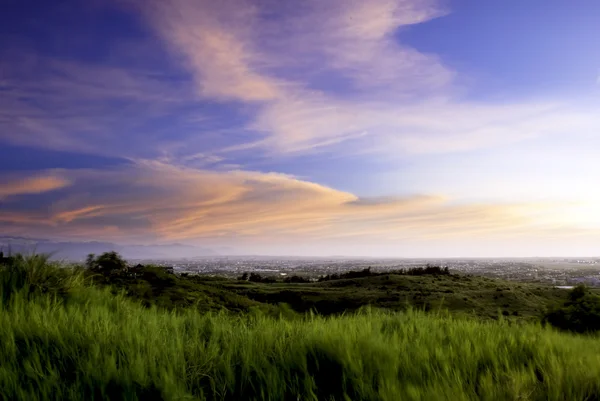 Grünes Gras auf Wiese und Himmel mit Wolken. Fokus auf Frontgras — Stockfoto