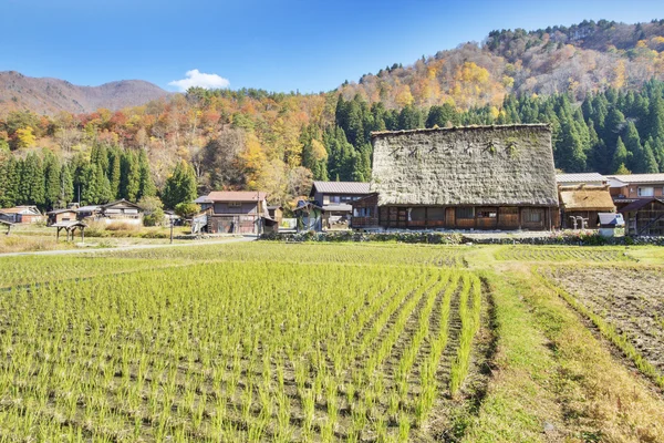 Villaggio giapponese tradizionale e storico Ogimachi - Shirakawa — Foto Stock