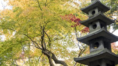 Kasumiga-IKE gölet Kenrokuen Garden Kanazawa