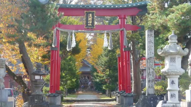 Mt. Fuji con colores de otoño en Japón — Vídeos de Stock