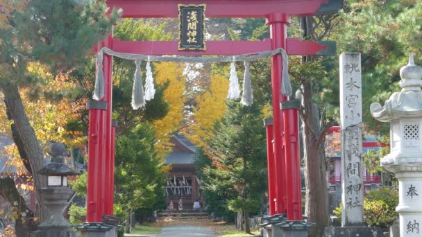 MT. fuji με τα χρώματα πτώσης στην Ιαπωνία — Αρχείο Βίντεο