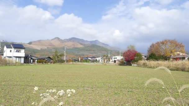 日本の秋の色と富士山 — ストック動画