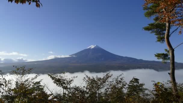 Fuji di montagna con lago kawaguchi — Video Stock