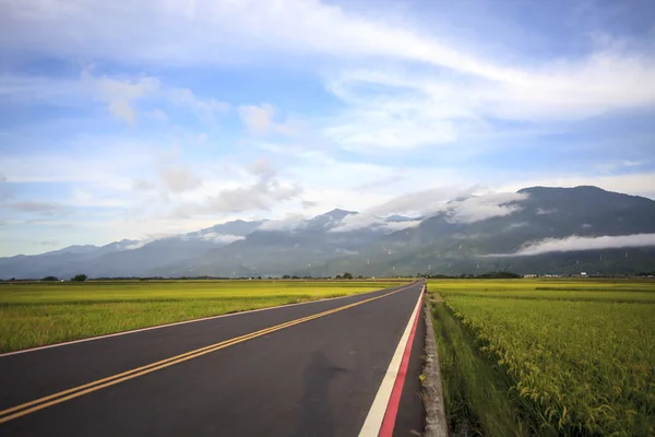 The beauty of the farmland in Taitung Taiwan — Stock Photo, Image