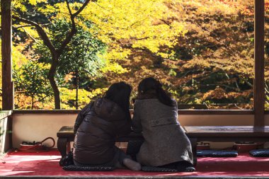 Sonbahar sezonu Jingo-Ji, kyoto, Japonya