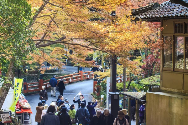 Sonbahar sezonu Jingo-Ji, kyoto, Japonya — Stok fotoğraf