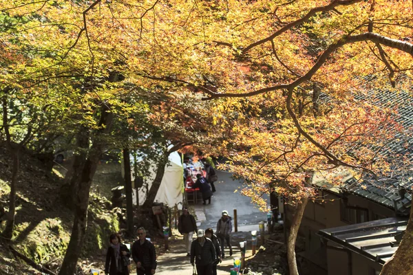 Осенний сезон Джинго-дзи, Киото, Япония — стоковое фото