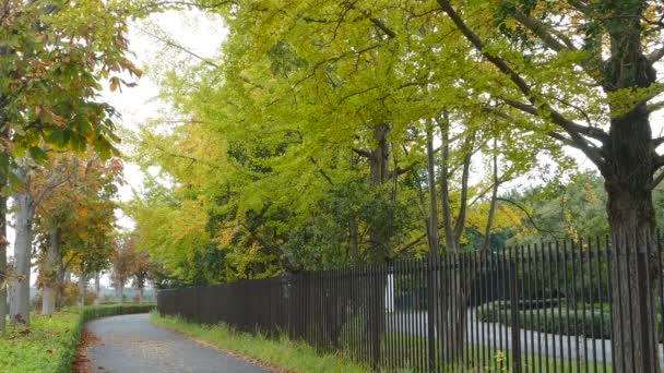 Gente che cammina per il parco in una giornata nuvolosa — Video Stock