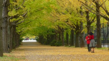 Bulutlu bir günde parkta yürüyüş insanlar