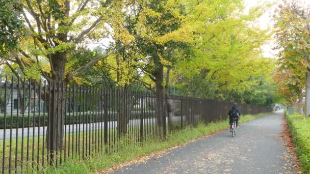 Les gens qui traversent le parc par une journée nuageuse — Video