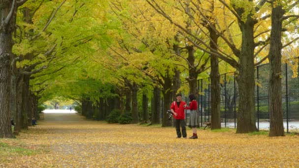 Mensen lopen door het park op een bewolkte dag — Stockvideo