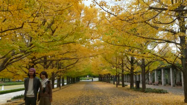 Les gens qui traversent le parc par une journée nuageuse — Video