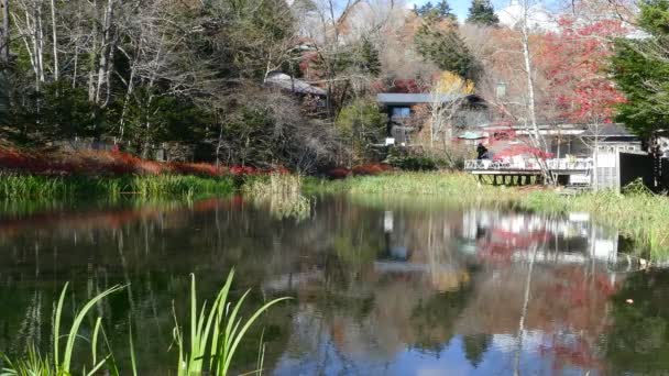 Karuizawa, Nagano — Stock videók