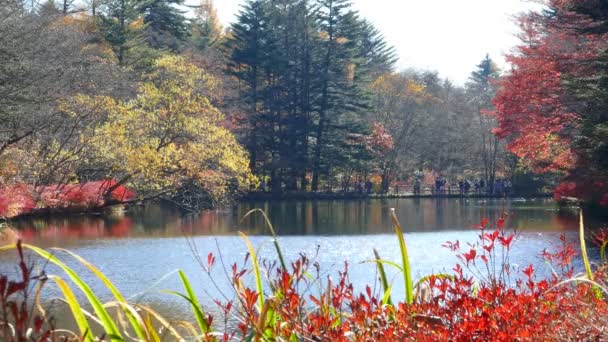 Karuizawa, Nagano — Vídeos de Stock