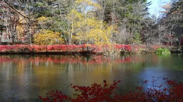 Karuizawa, Nagano — Stok video