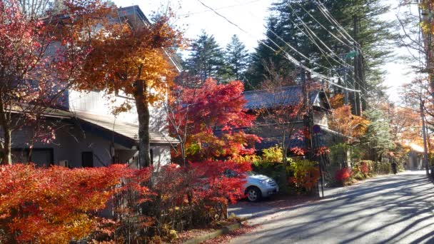 Karuizawa, Nagano — Video