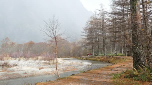 Η θέα από την γέφυρα Kappabashi. Αυτή η εικόνα λήφθηκε στην Kamikochi, Νομός του Ναγκάνο, Ιαπωνία — Αρχείο Βίντεο