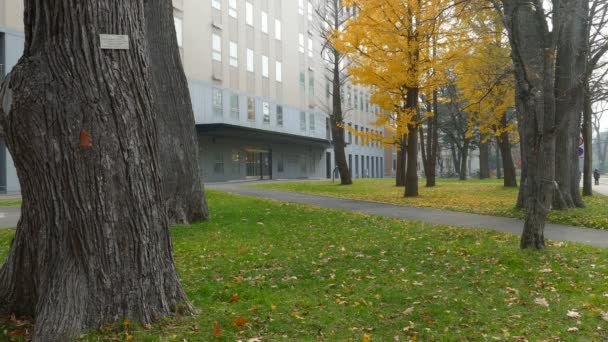 Université de Hokkaido à la saison d'automne 