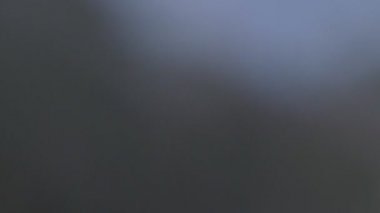 jigokudani maymun parkı