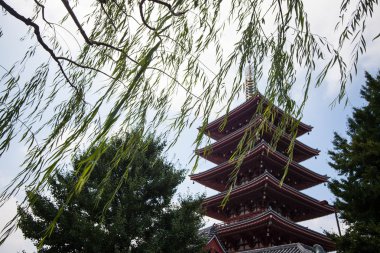 Senso-ji Tapınağı, Asakusa, Tokyo, Japonya