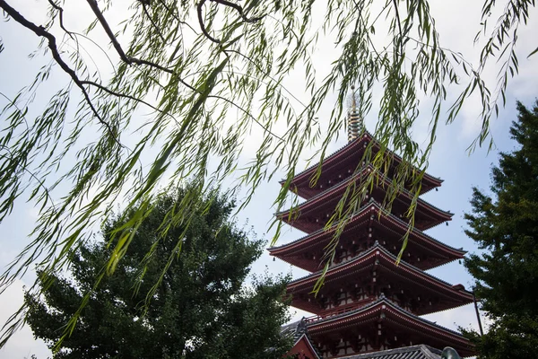 Senso-ji Tapınağı, Asakusa, Tokyo, Japonya