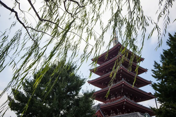 Senso-ji Tapınağı, Asakusa, Tokyo, Japonya