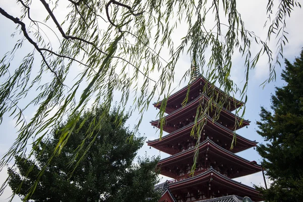 Senso-ji Tapınağı, Asakusa, Tokyo, Japonya