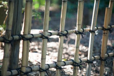 Bambu çit arka plan