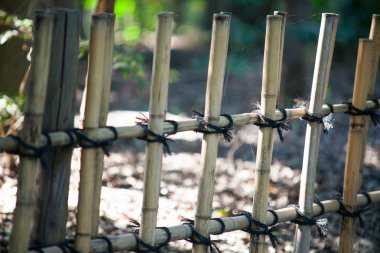 Bambu çit arka plan