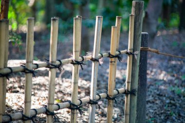 Bambu çit arka plan